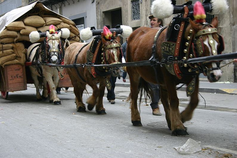 Tàrrega – Festa dels Tres Tombs  2025