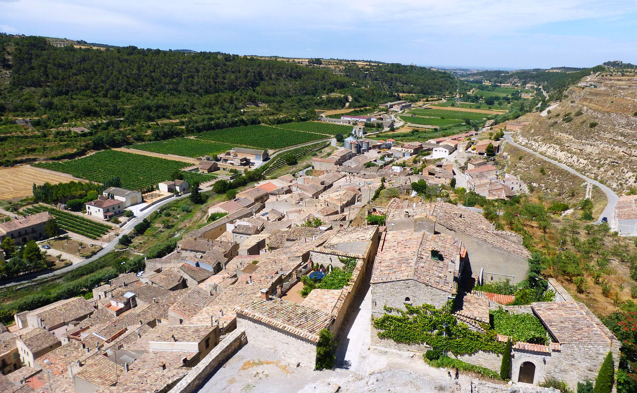 L’Urgell del segle XXI – Diversitat cultural i transformació